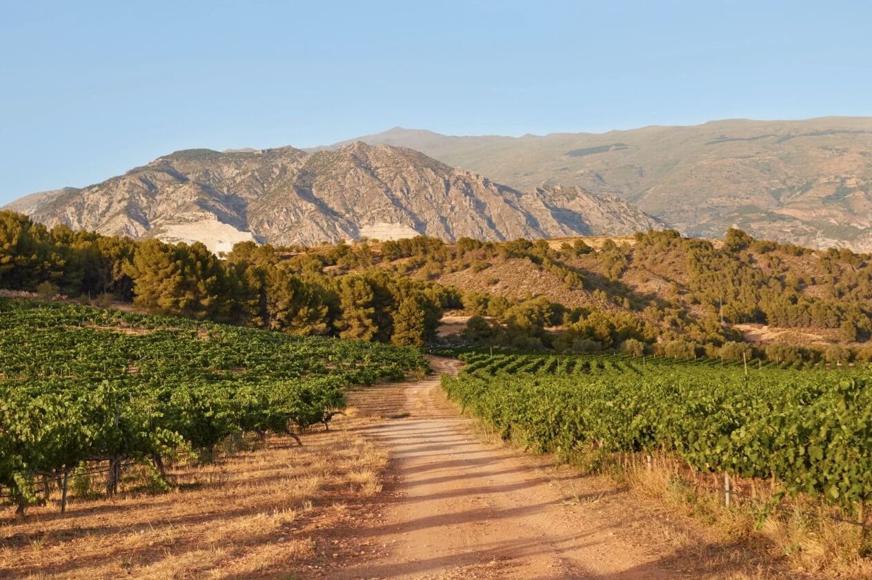 vocabulaire de l'agriculture en espagnol