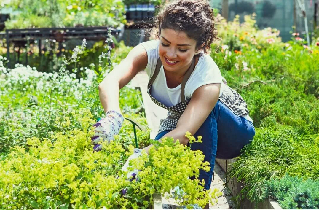 le vocabulaire du jardinage en anglais